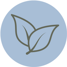 background shape